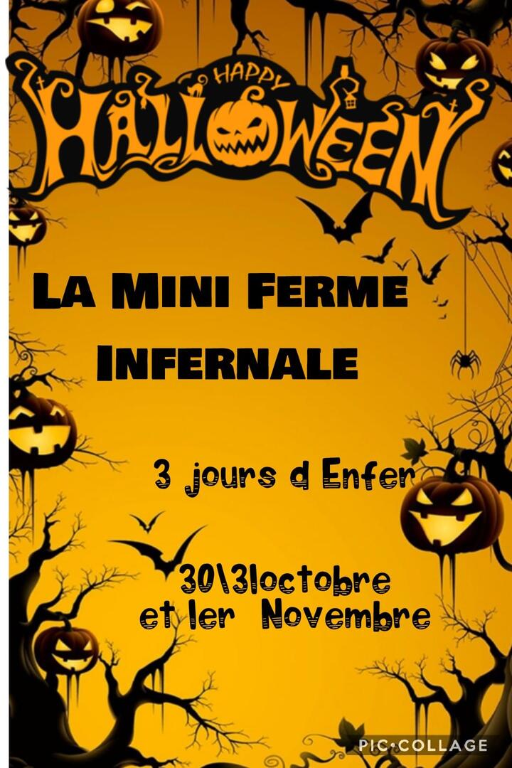 mini ferme halloween