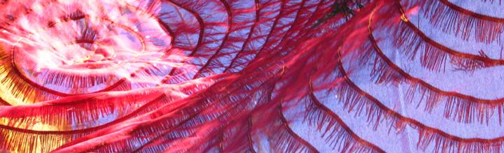 nourrirson corps dharma