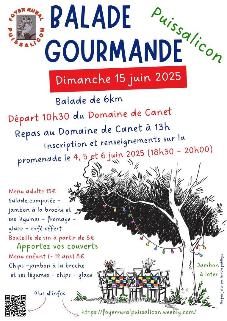 affiche foyer rural puissalicon