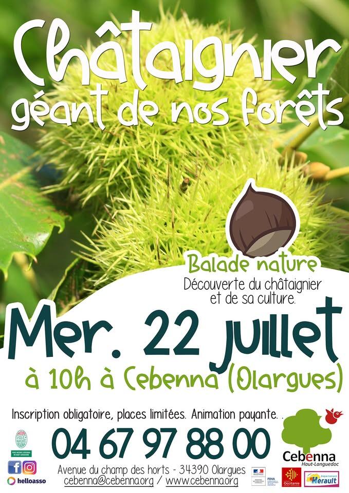 balade Nature - cebenna 22juil26