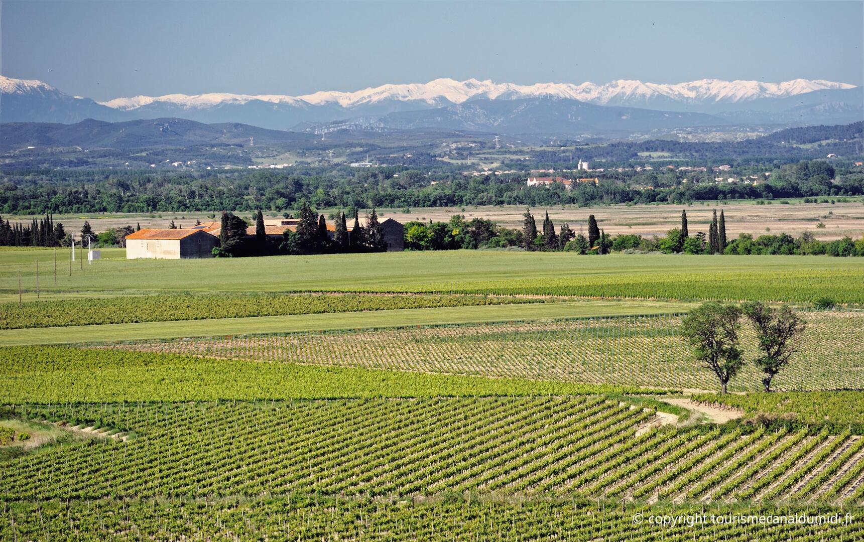 point de vue oenorando capestang