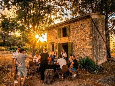 Dégustation dans les vignes