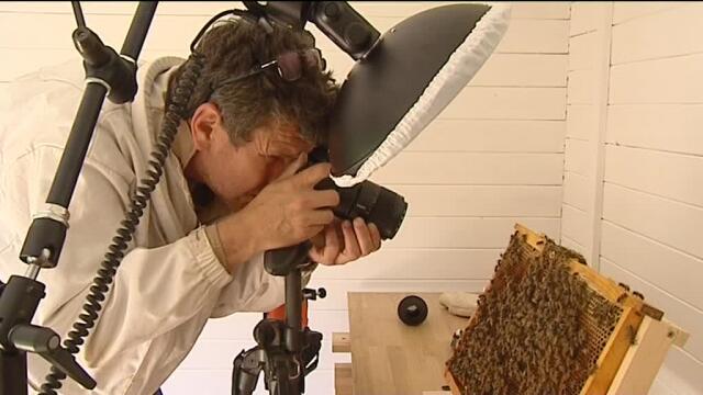 eric tourneret - France 3