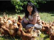 la-ferme-du-sanglier-article-vignette-full