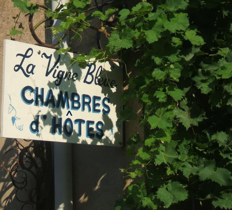 lavignebleue2