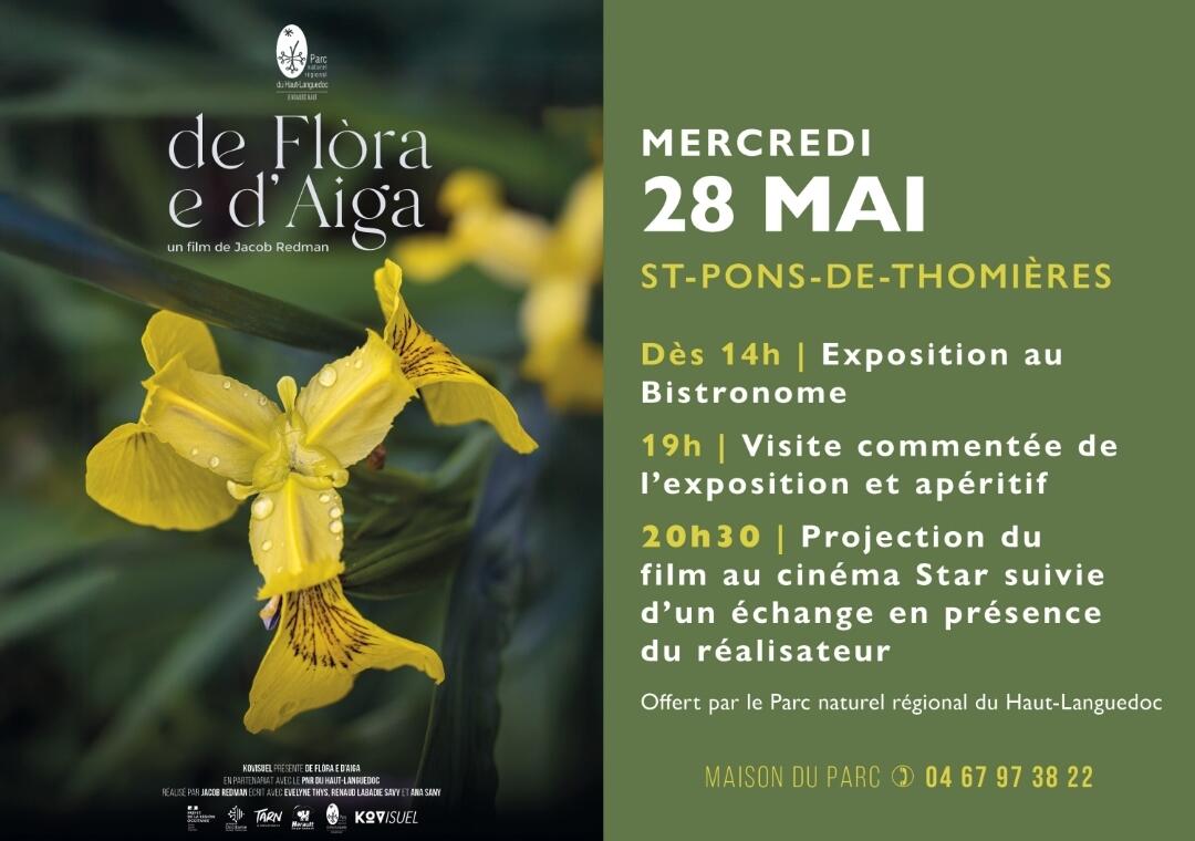 Projection et exposition "De flòra 🌸 e d’aiga