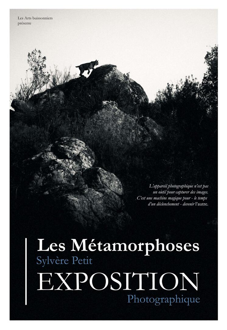 Exposition "les Métamorphoses"