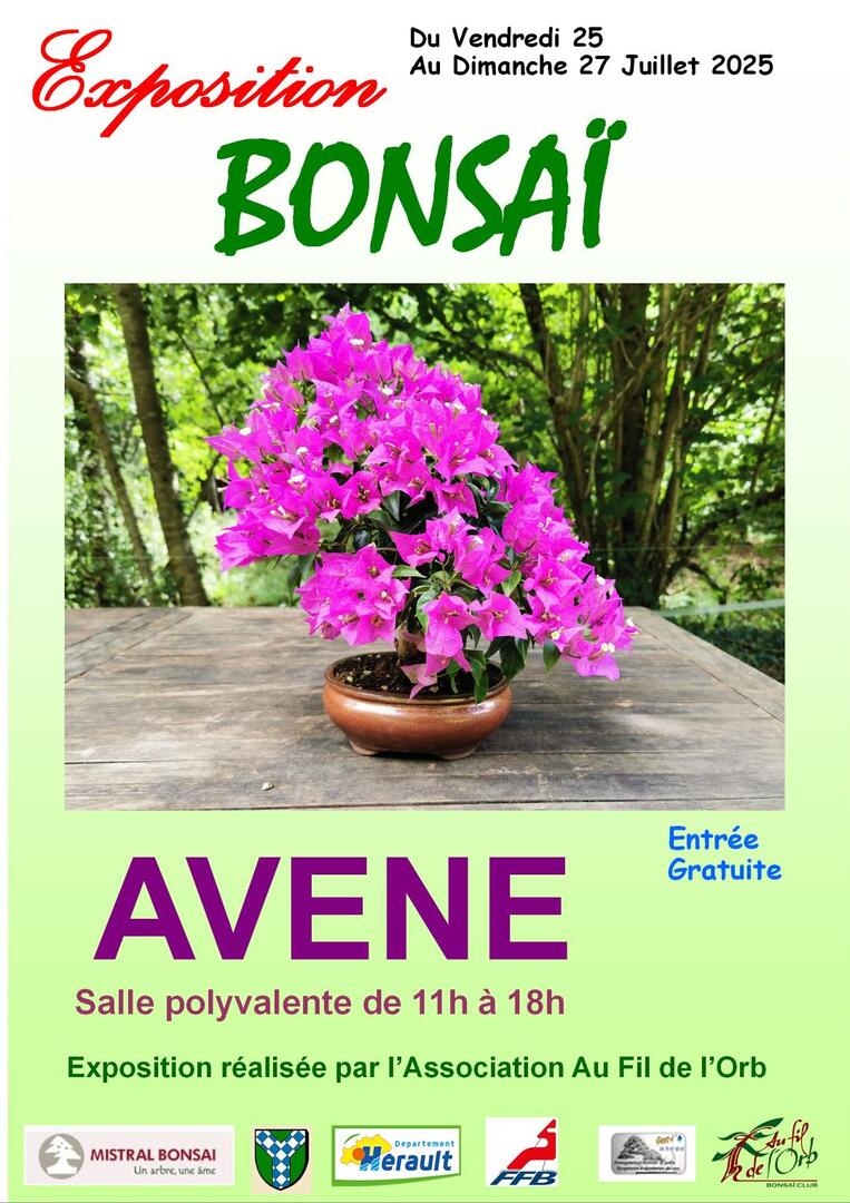 25 07 25 Avene exposition BONSAI