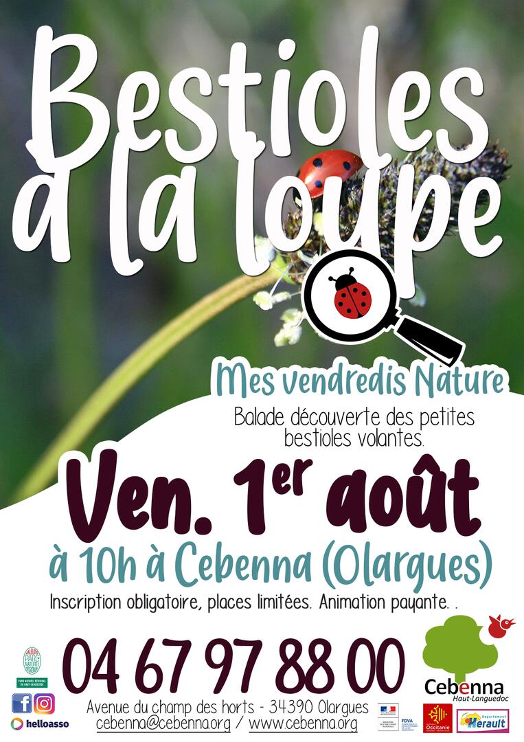 25-Bestioles_1erAout2025 copie