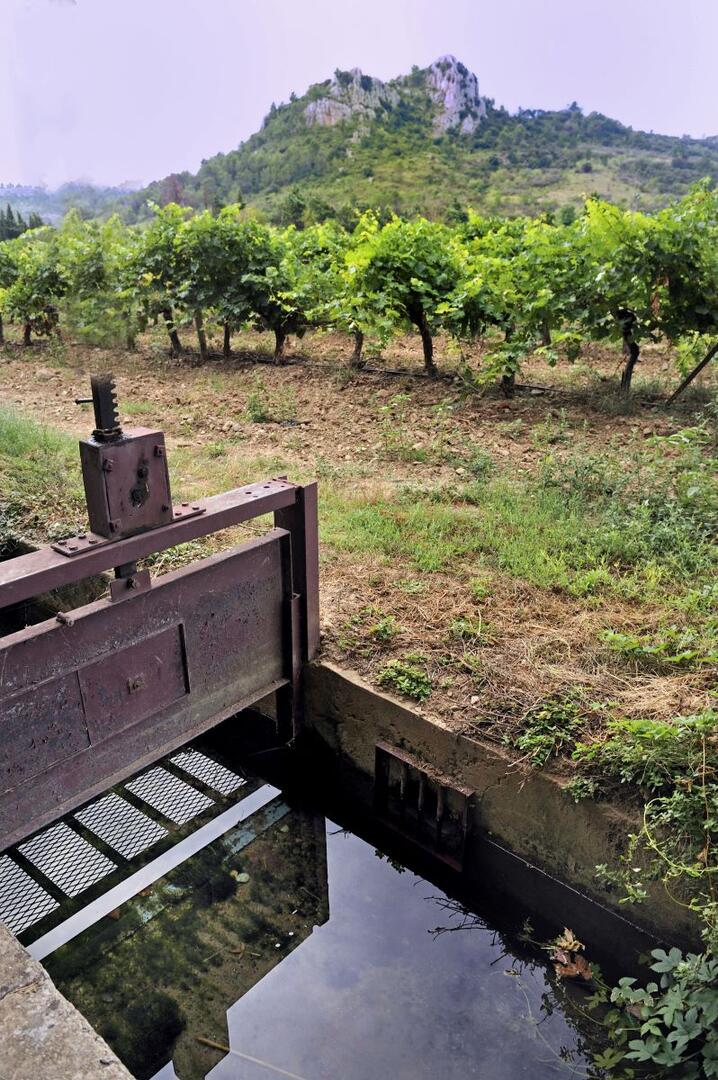 20140802_canal de l abbe_saint chinain_s39