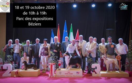 2020-10-18 Concours canin Parc expo Béziers