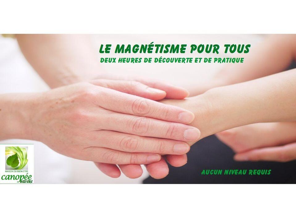 2020-11-12 Atelier magnétisme Béziers Maison Canopée