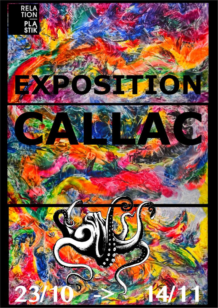 2020-11-14 Expo Callac La Poulpe à Béziers