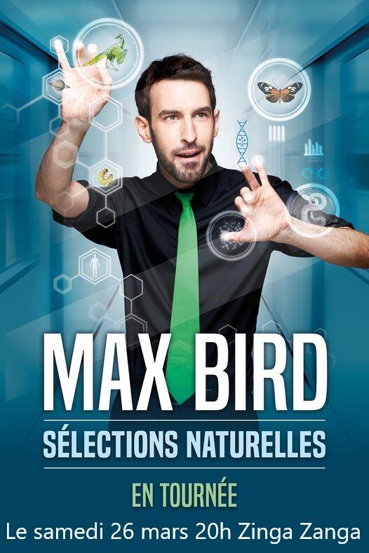 2022-03-26 Max Bird ZZ