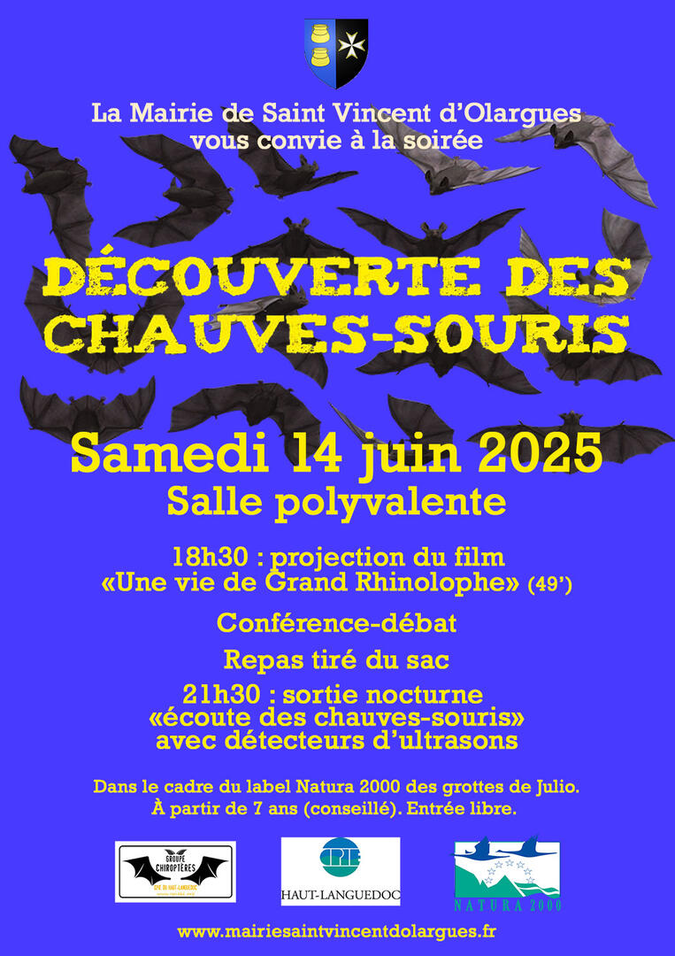 20250614-decouverte-chauve-souris-web