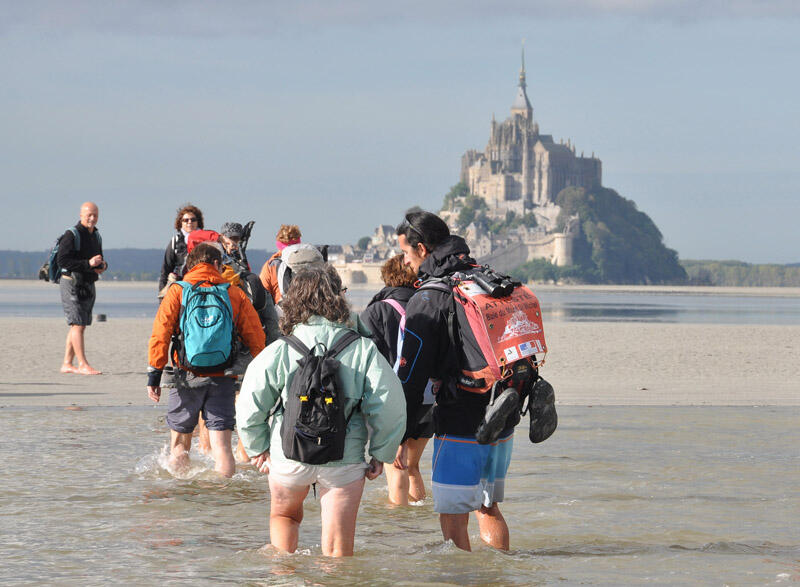 Escapades en Baie avec des Guides Nature
