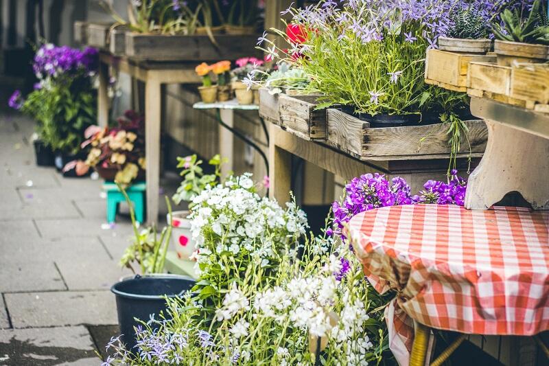 Fête du printemps