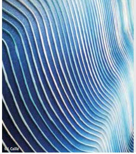J Caillé les ondes bleues