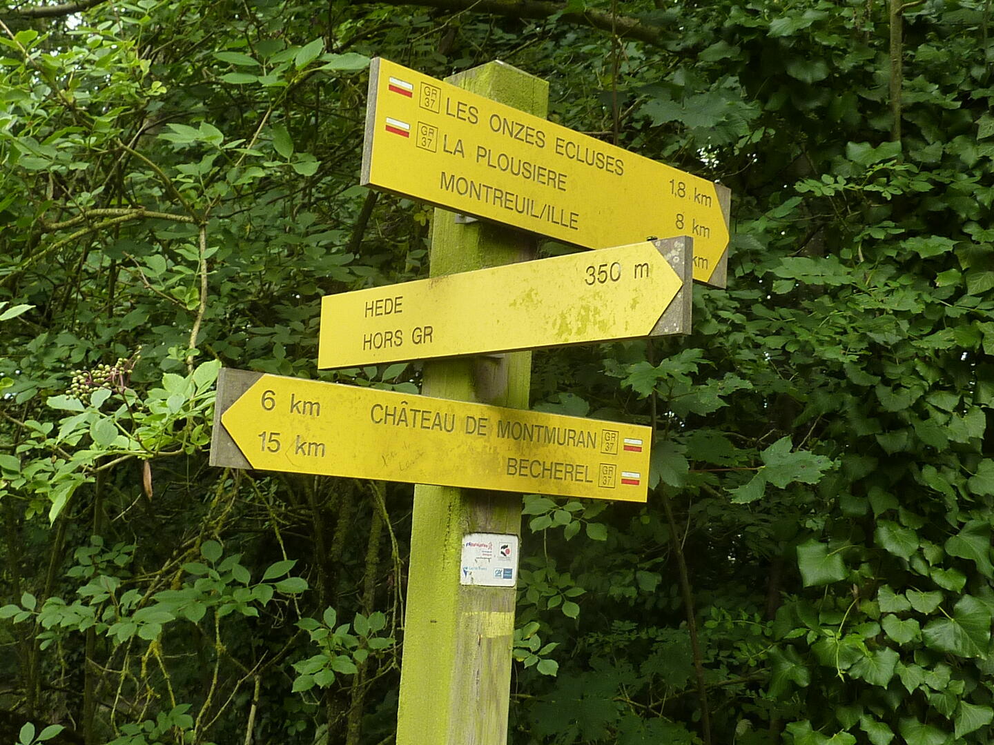 SMBMSM - Flèche GR 37