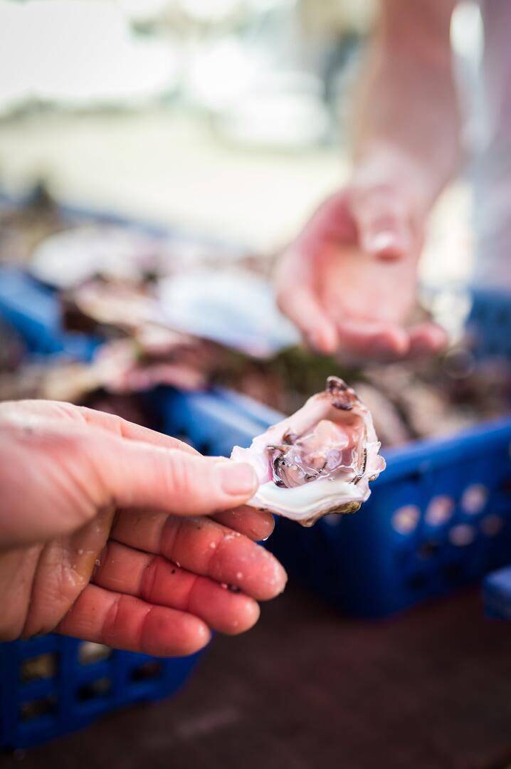 crtb-ac6079_BERTHIER-Emmanuel