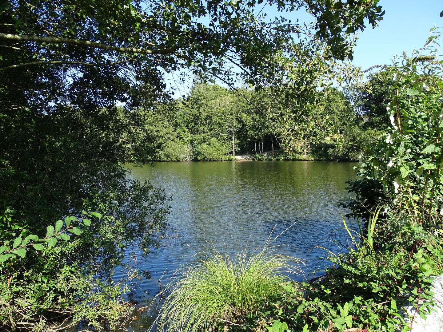 DSC00313