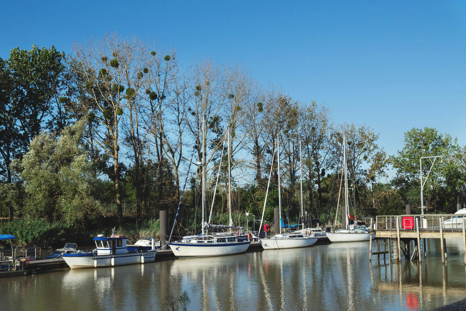 Port de Cordemais 2019©PUK (1)