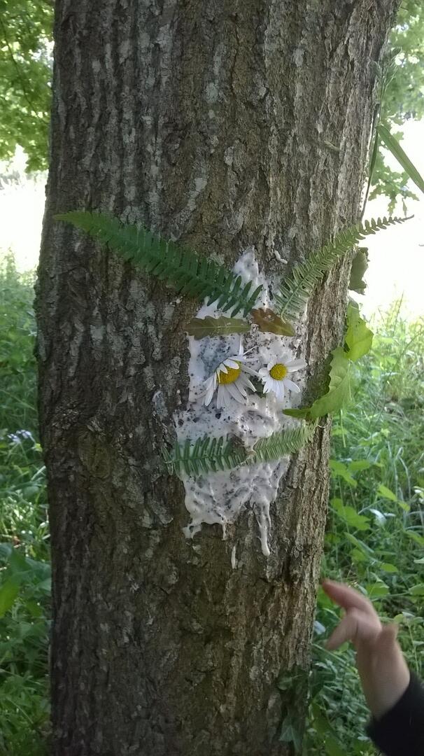 Mon premier land-art