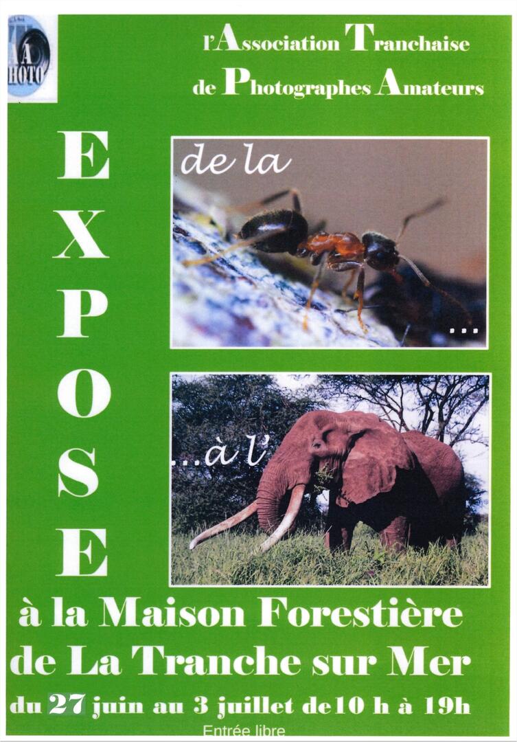 expo
