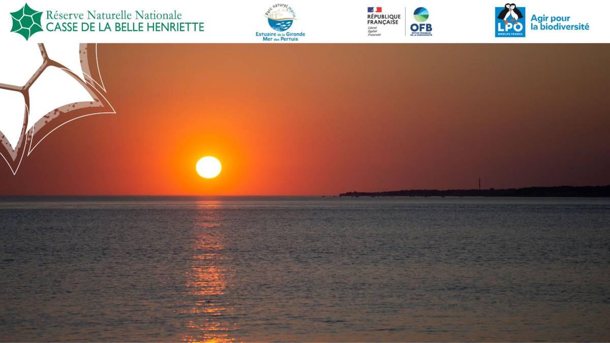 sortie crépusculaire