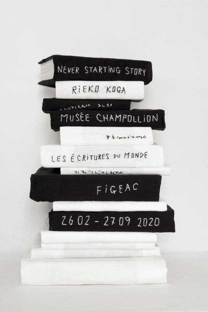Rieko Koga, Never starting story
