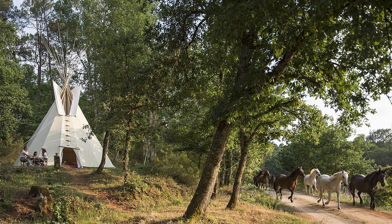 tipi et chevaux