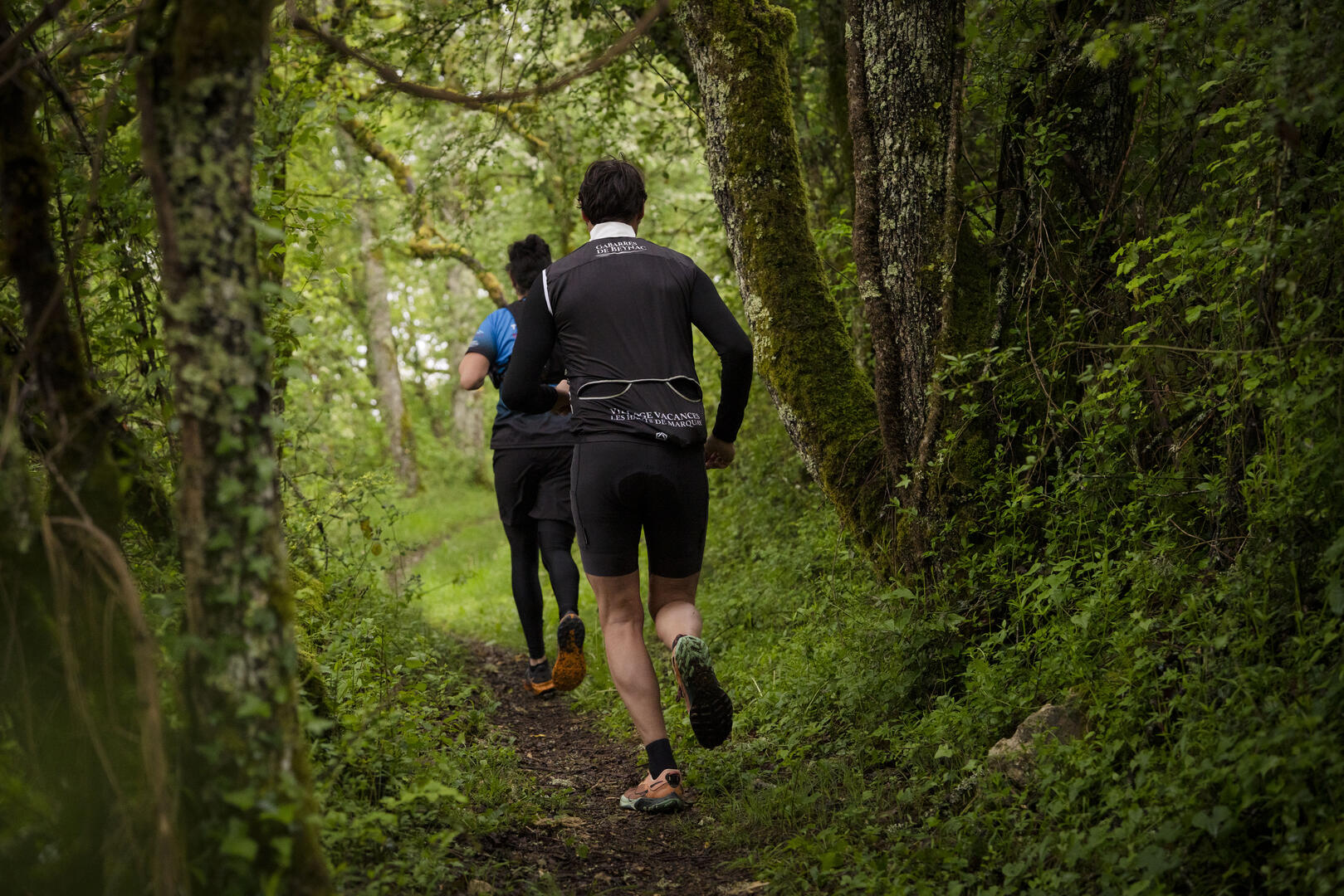 Trail