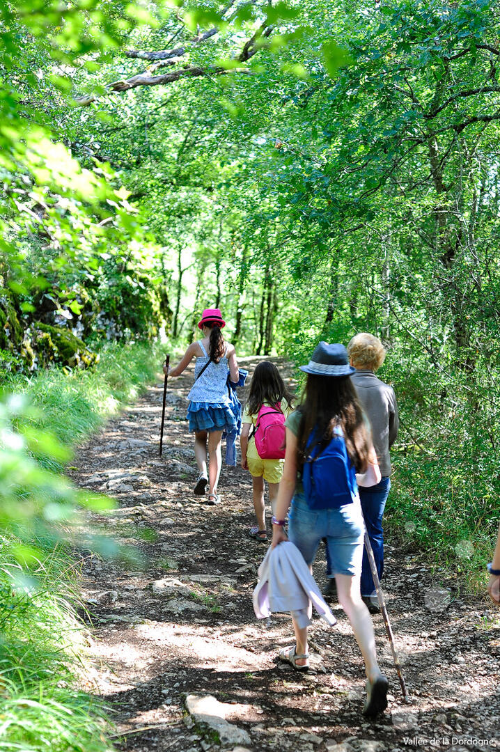 00364-OTVD-CC-BY-NCCochise-Ory---Vallee-de-la-Dordogne.jpg-1200px