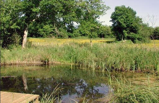 0911-Eaucebiencommun-marais de Bonnefont-AlainBotton-Lieucommun-72dpi