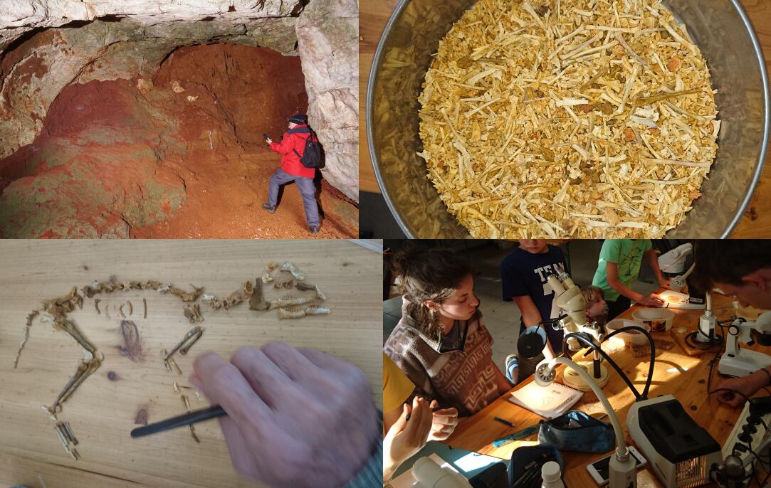 21juillet-safariPaleontologique-T