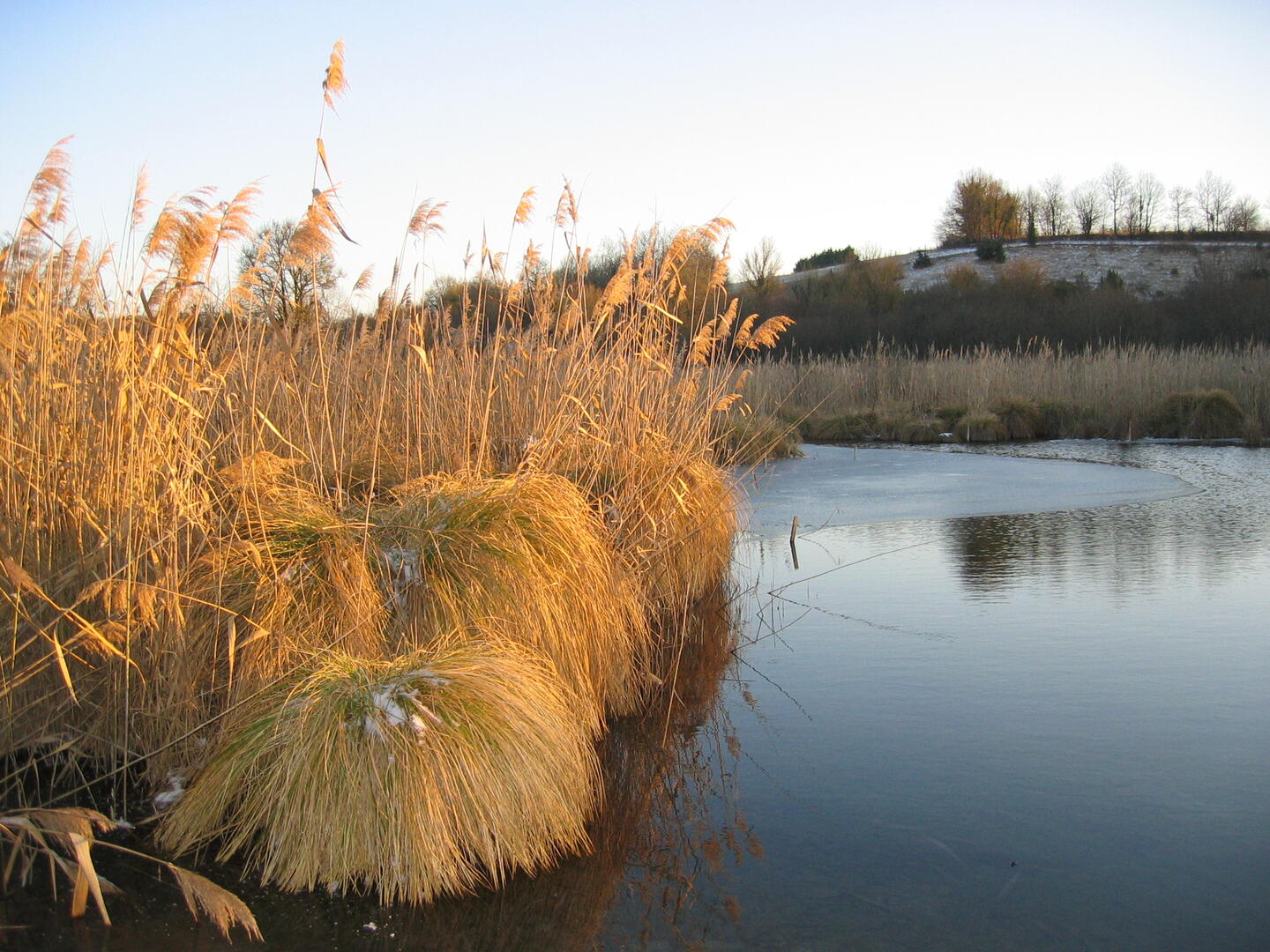 23022020-maraishiver