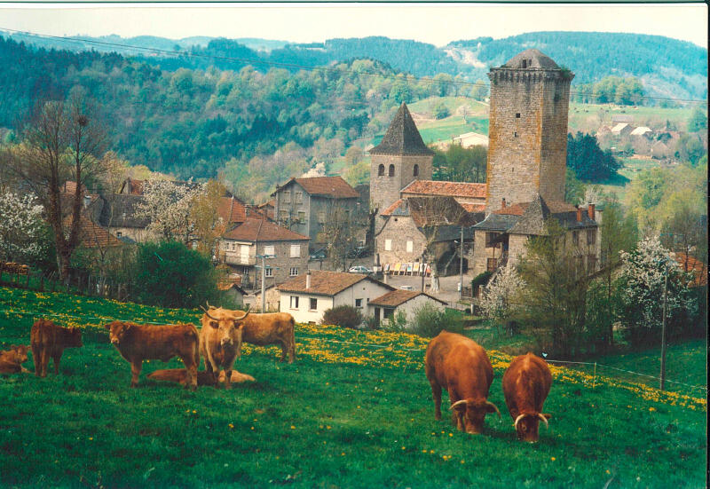 Teyssieu - Tour Médiévale XIIIé s.
