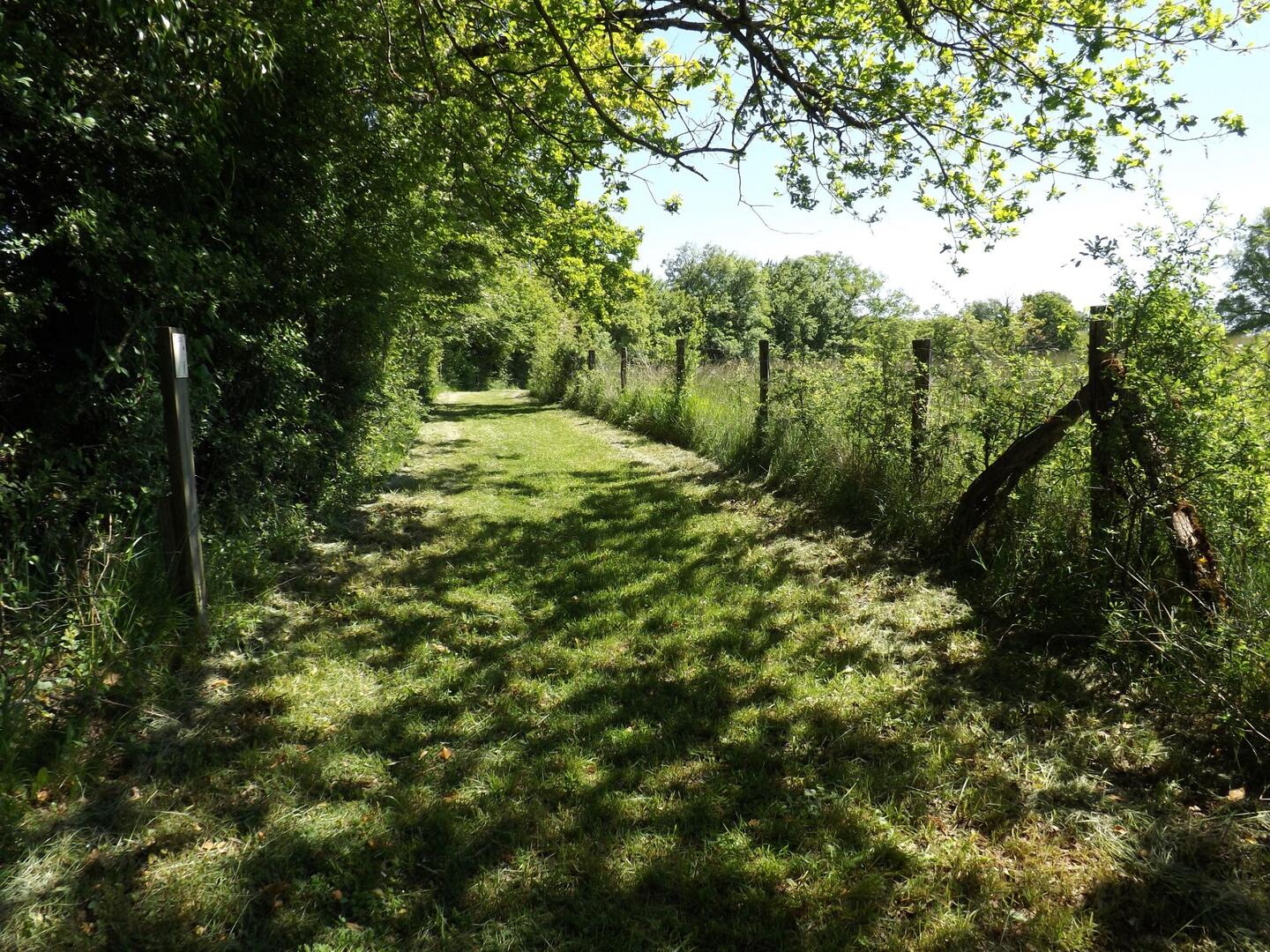 27062021-arbre-vie-usages-RNR