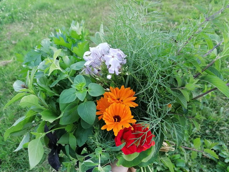 Les jardins d'antan-abussac-fleurs et plantes aromatiques