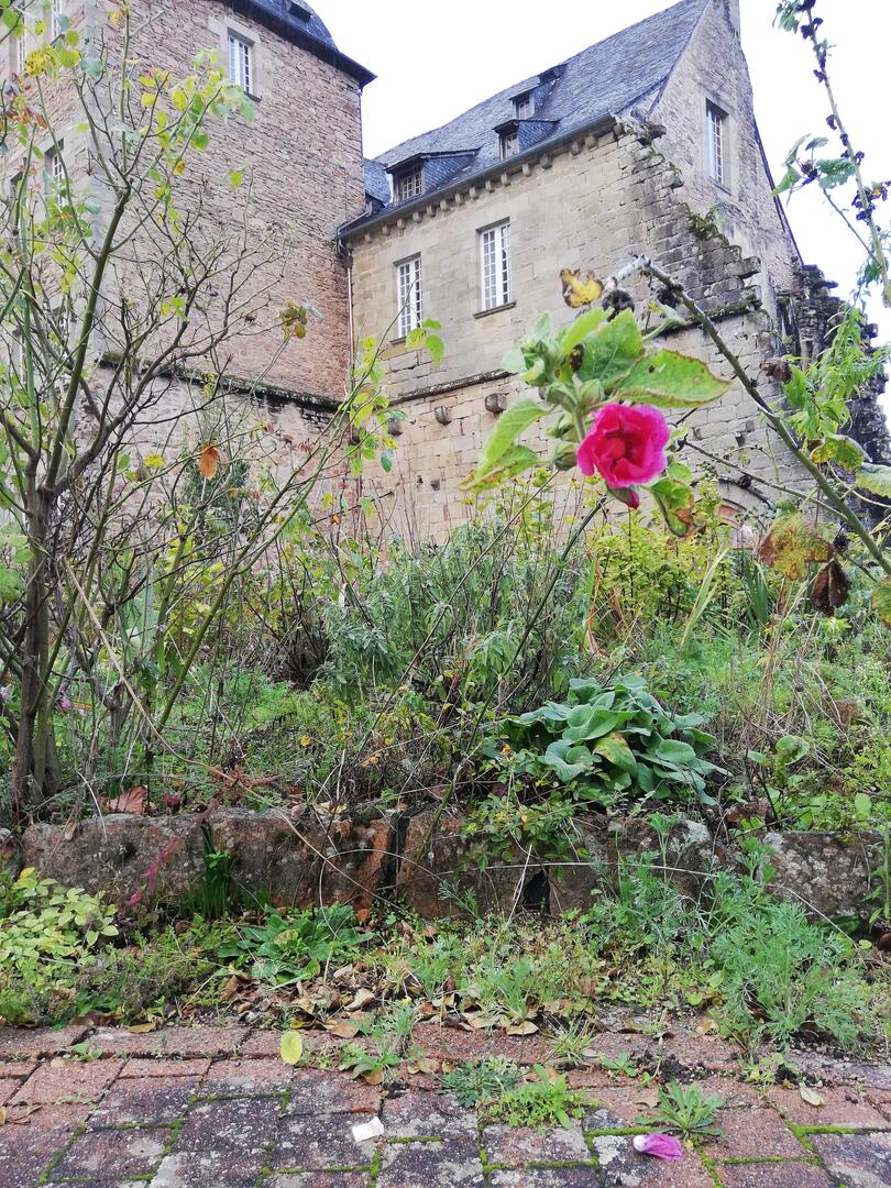 week end aubazine oct 2019 (36)