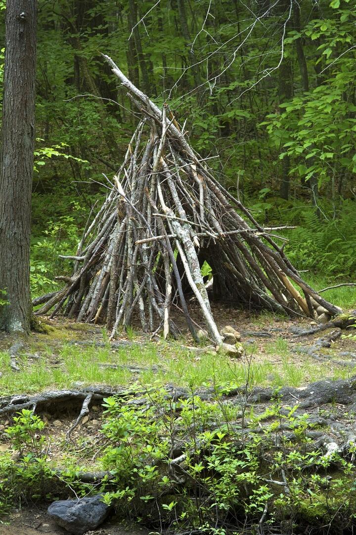 Atelier construction cabane