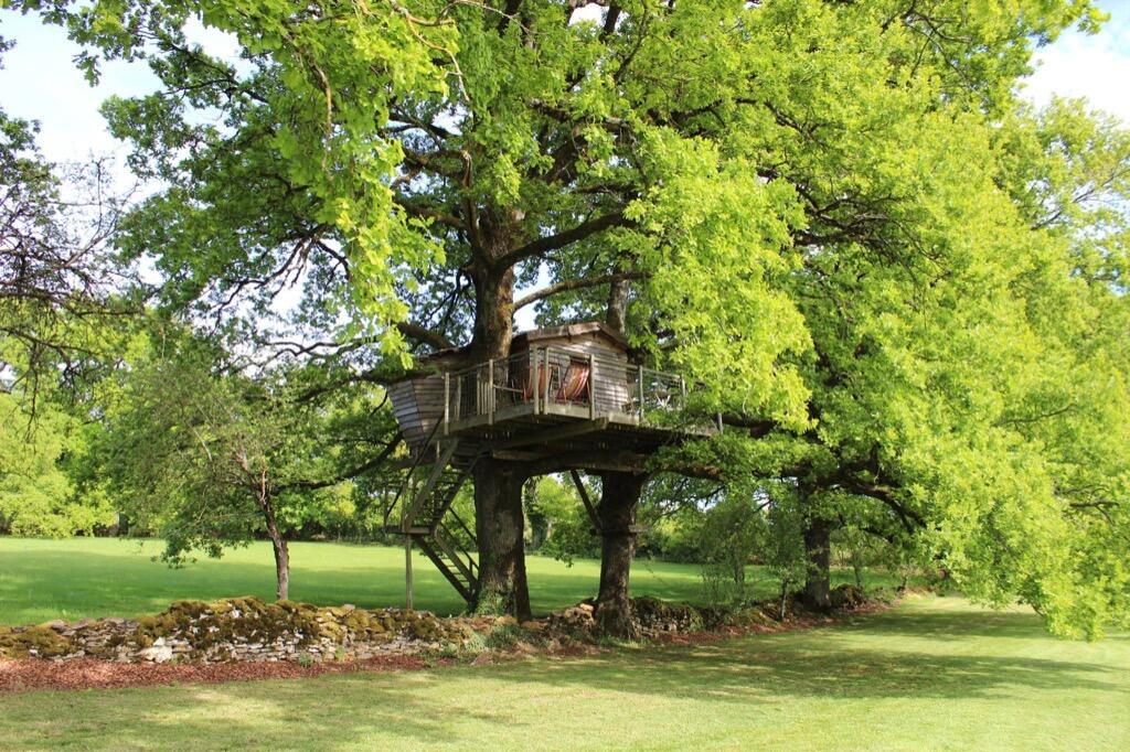 Logement insolite-cabane dans les arbres