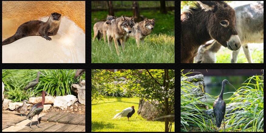 Parc animalier de Gramat