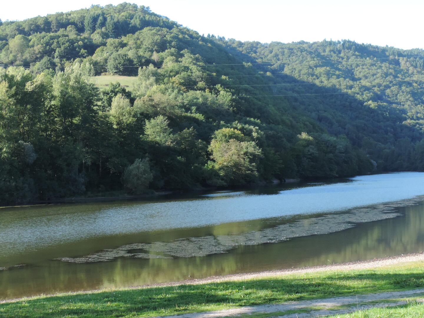 Cère et forêt ©M.Légeron