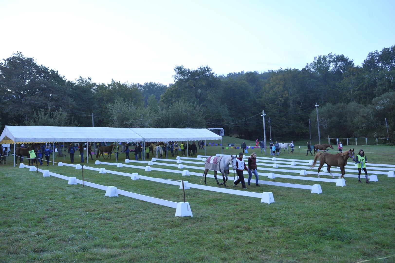 Cours équestre endurance Dégagnazès