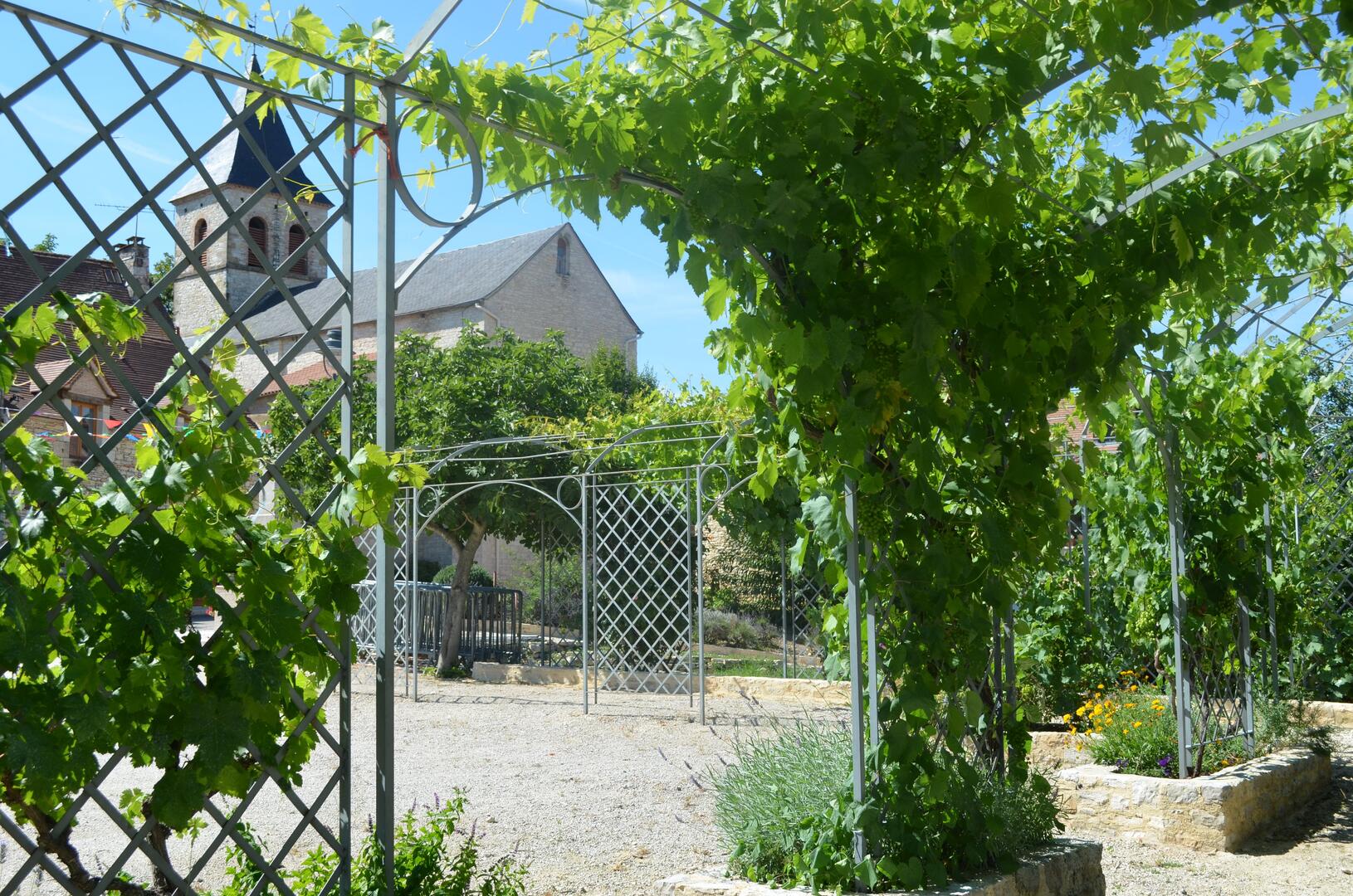 DSC_0027 copie