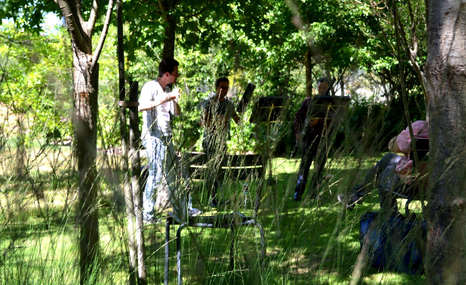 DSC_0133_Mod@webnplus