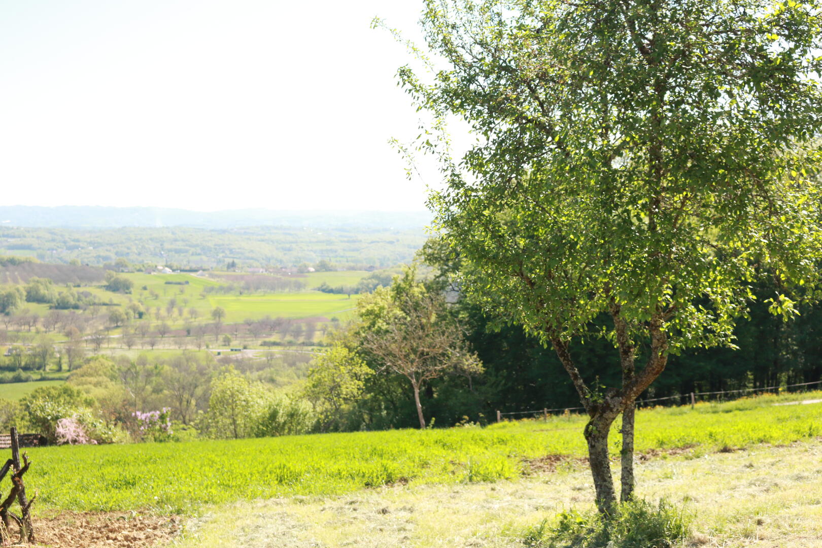 En-longeant-la-ferme-M