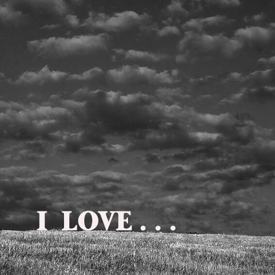Exposition I Love