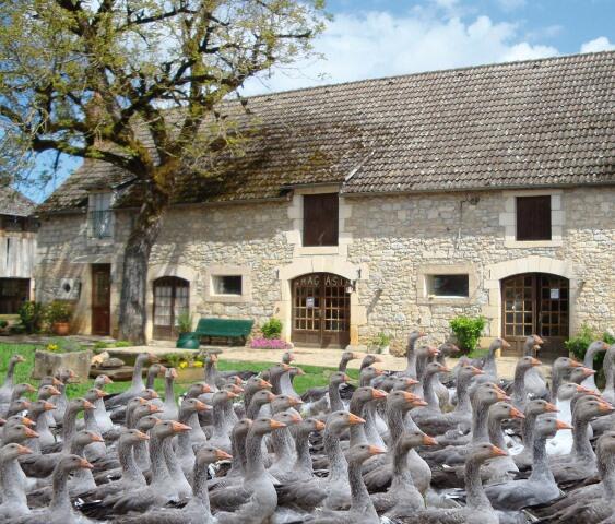 FERME LA CAMPAGNOISE OK